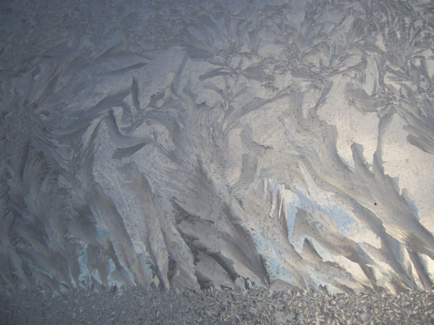 Flower field of Ice on Glass