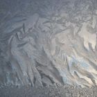 Flower field of Ice on Glass