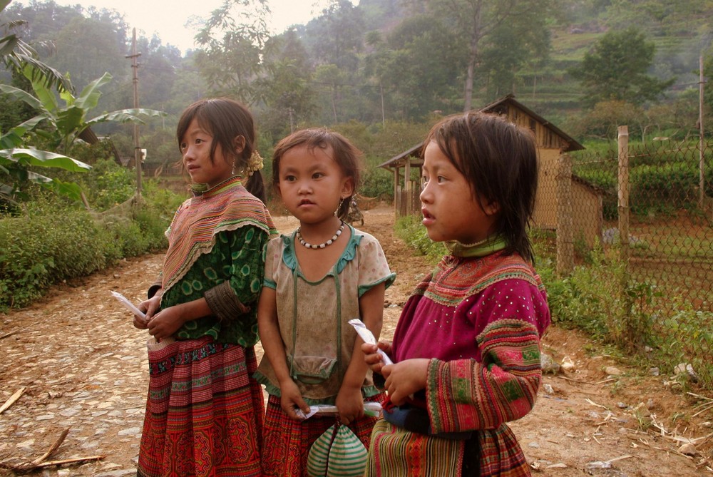 Flower Hmong girls