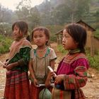 Flower Hmong girls