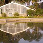 Flower house - Jd Botanico - São Paulo