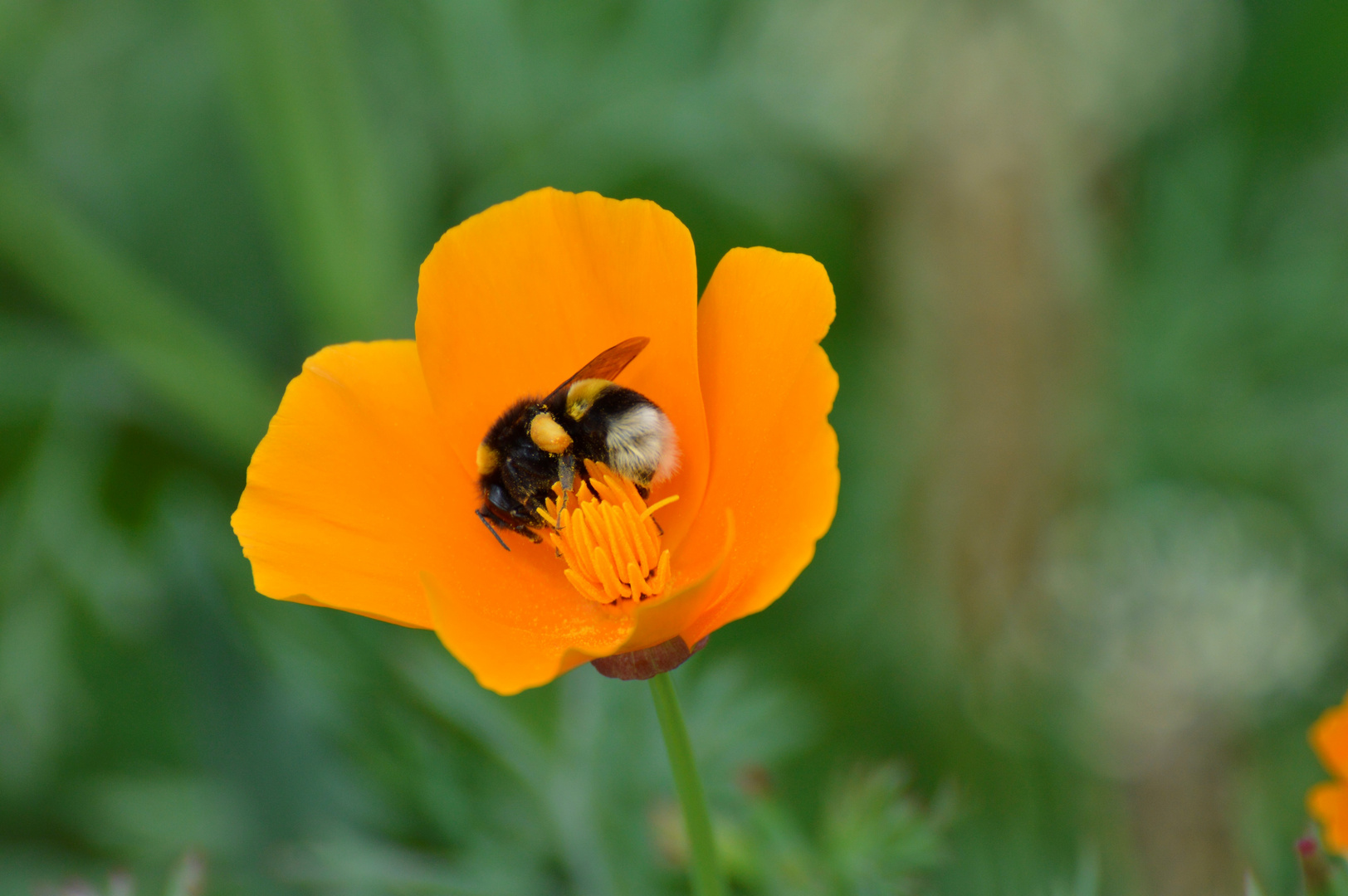 flower hugging