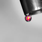 flower in a drop