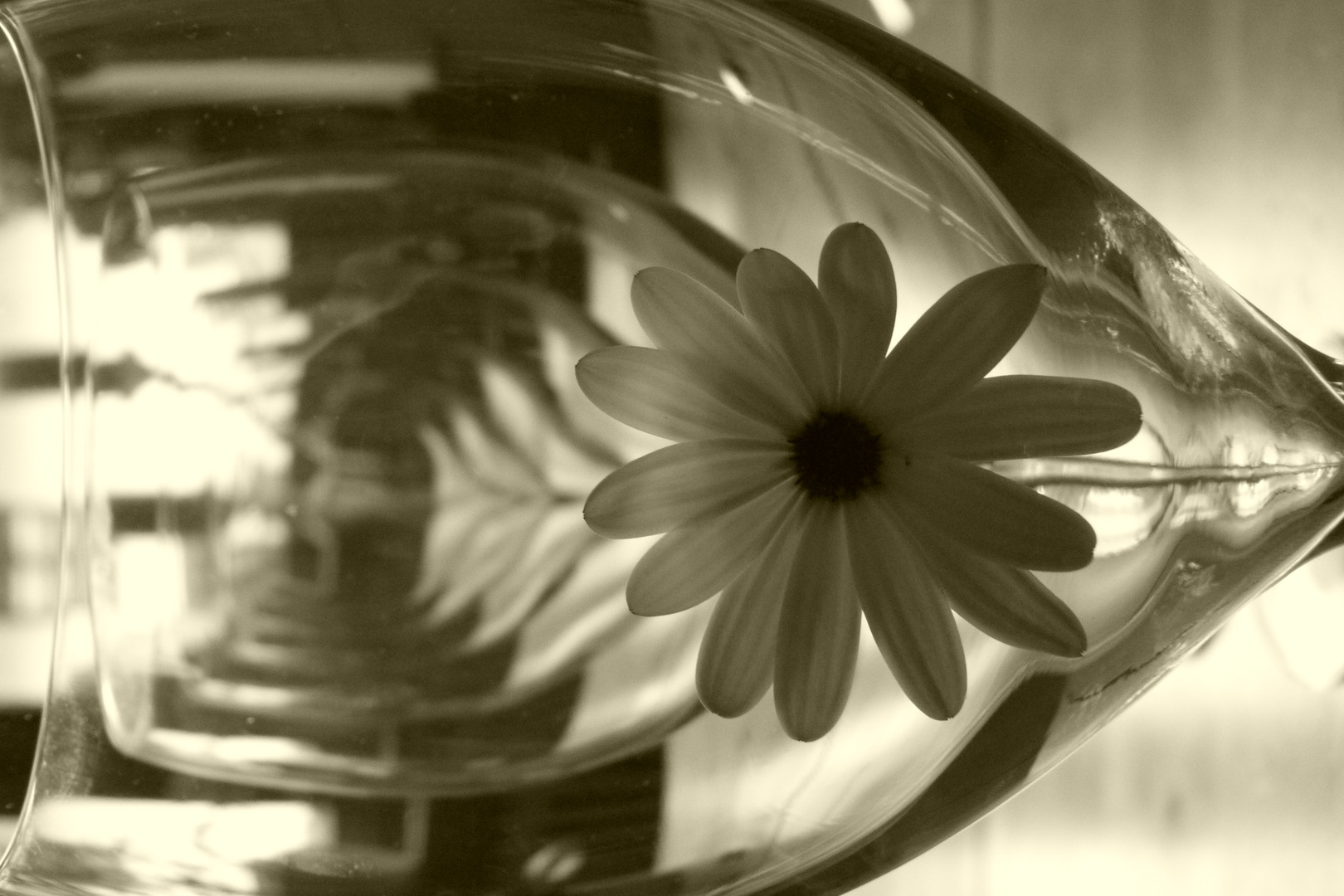 flower in a glas