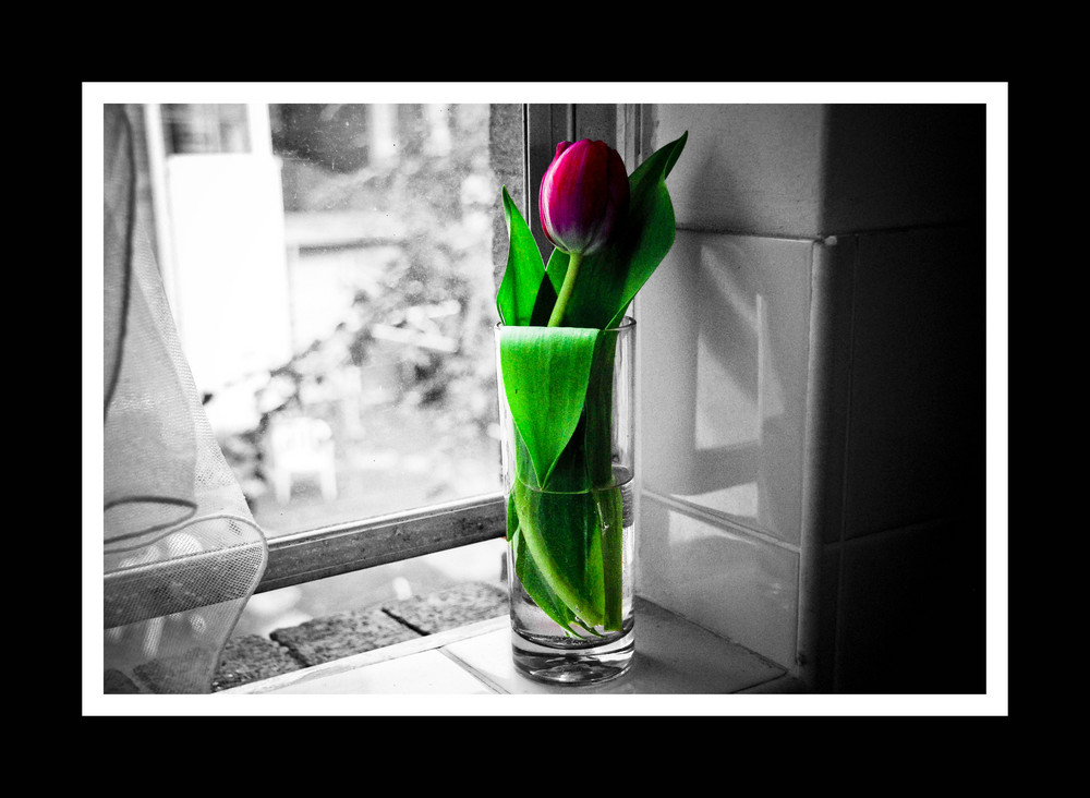 Flower in glass