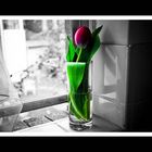 Flower in glass