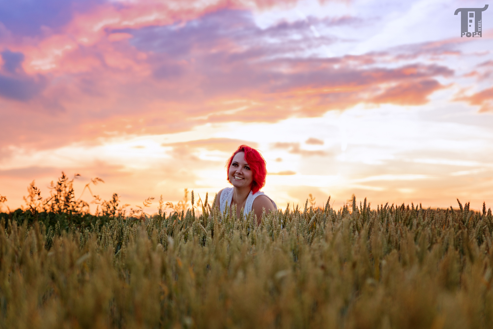 Flower In The Field