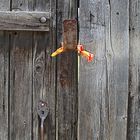 Flower locker