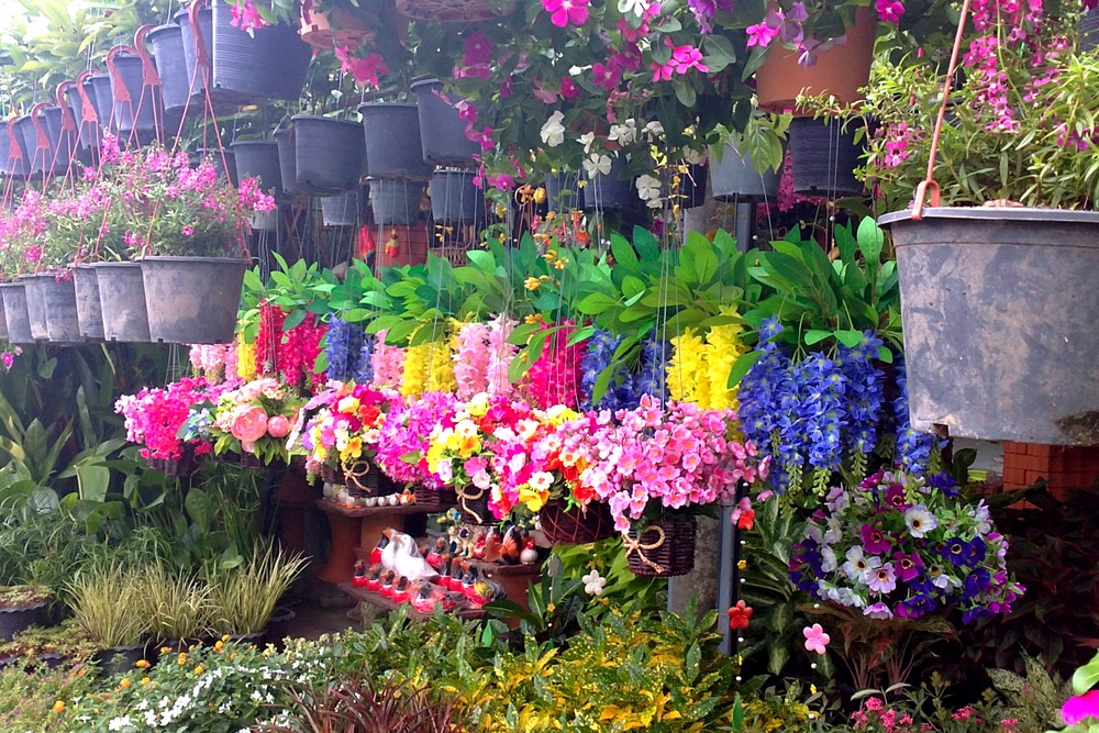 Flower Market