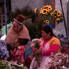 Flower Market