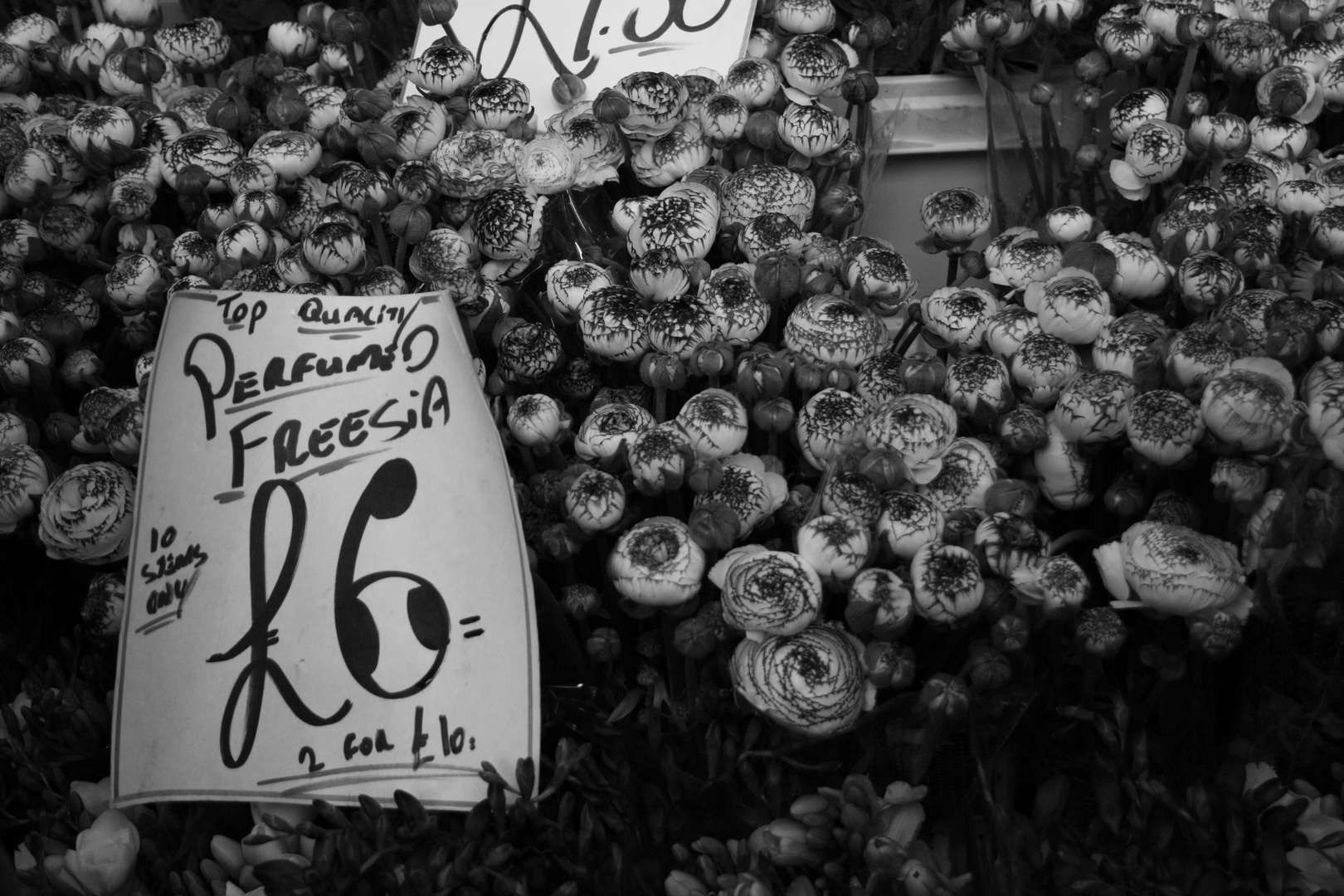 flower market