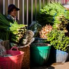 Flower Market