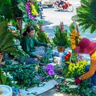 Flower Market Hue