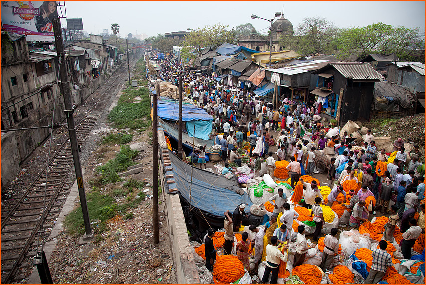 Flower Market in Kolkata