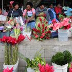 Flower Market, Suva / FJ