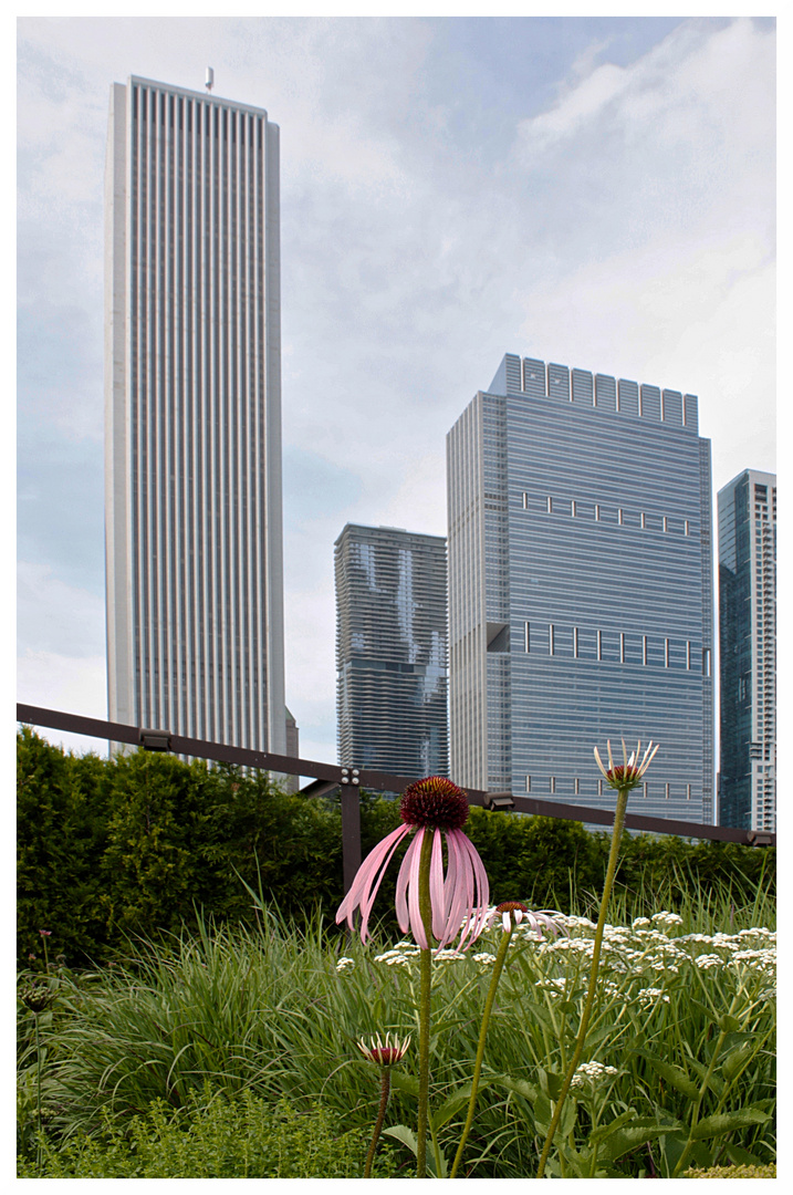 Flower mit Tower