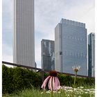 Flower mit Tower