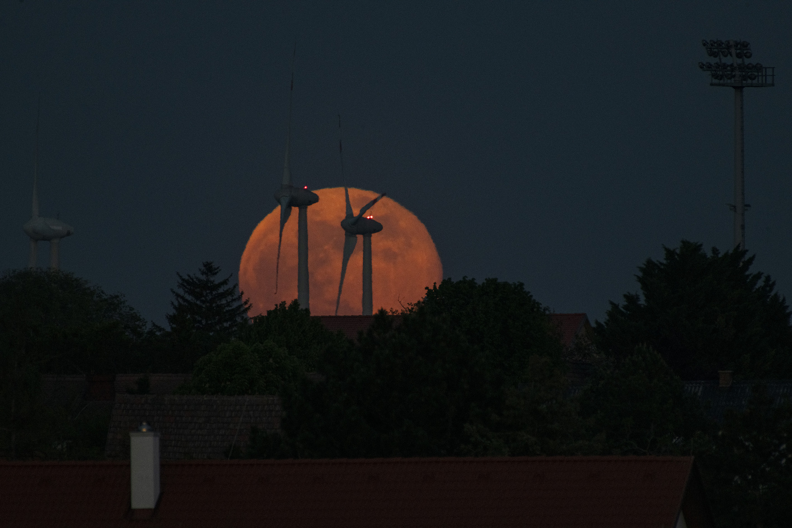 Flower Moon