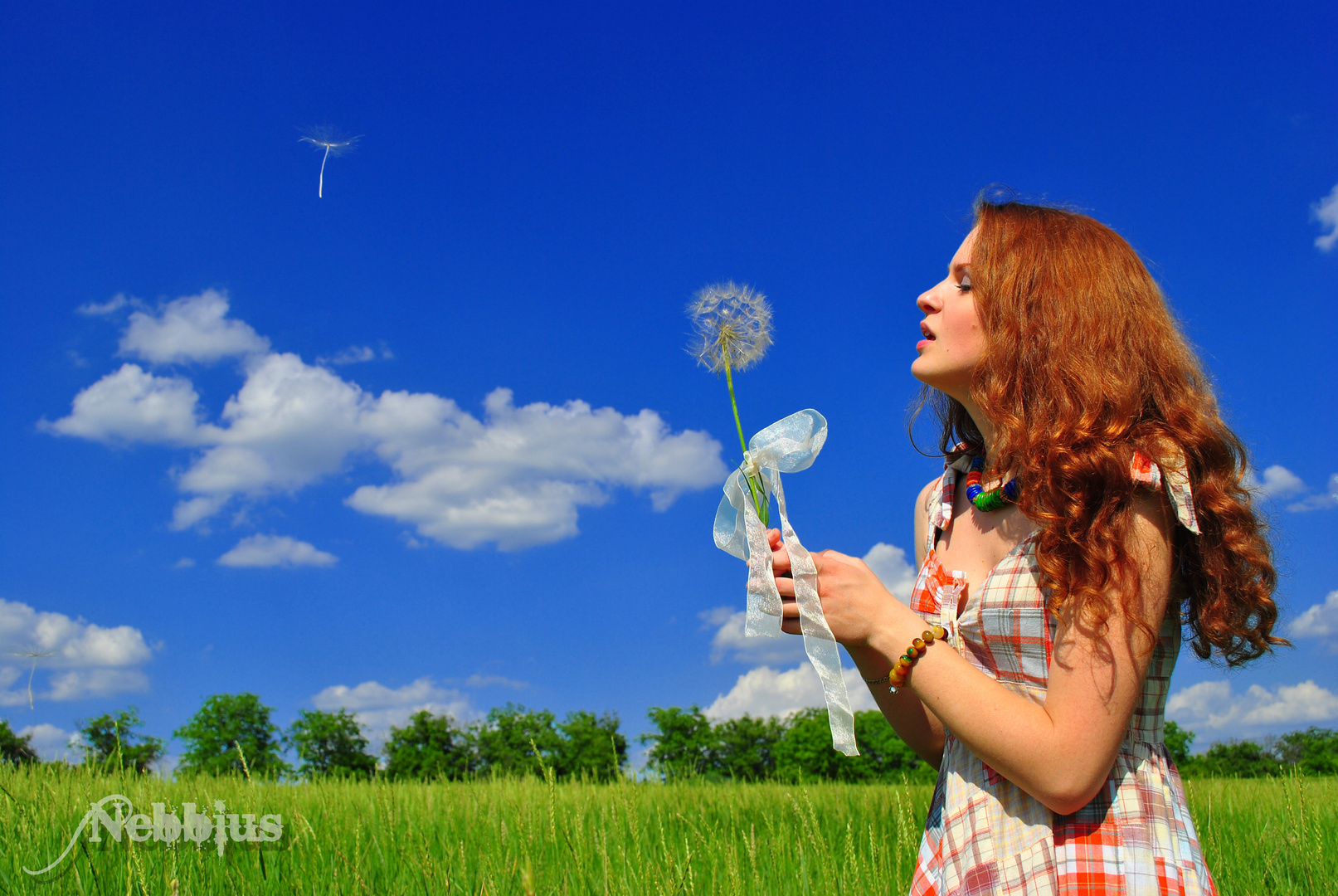 Flower Of Wishes