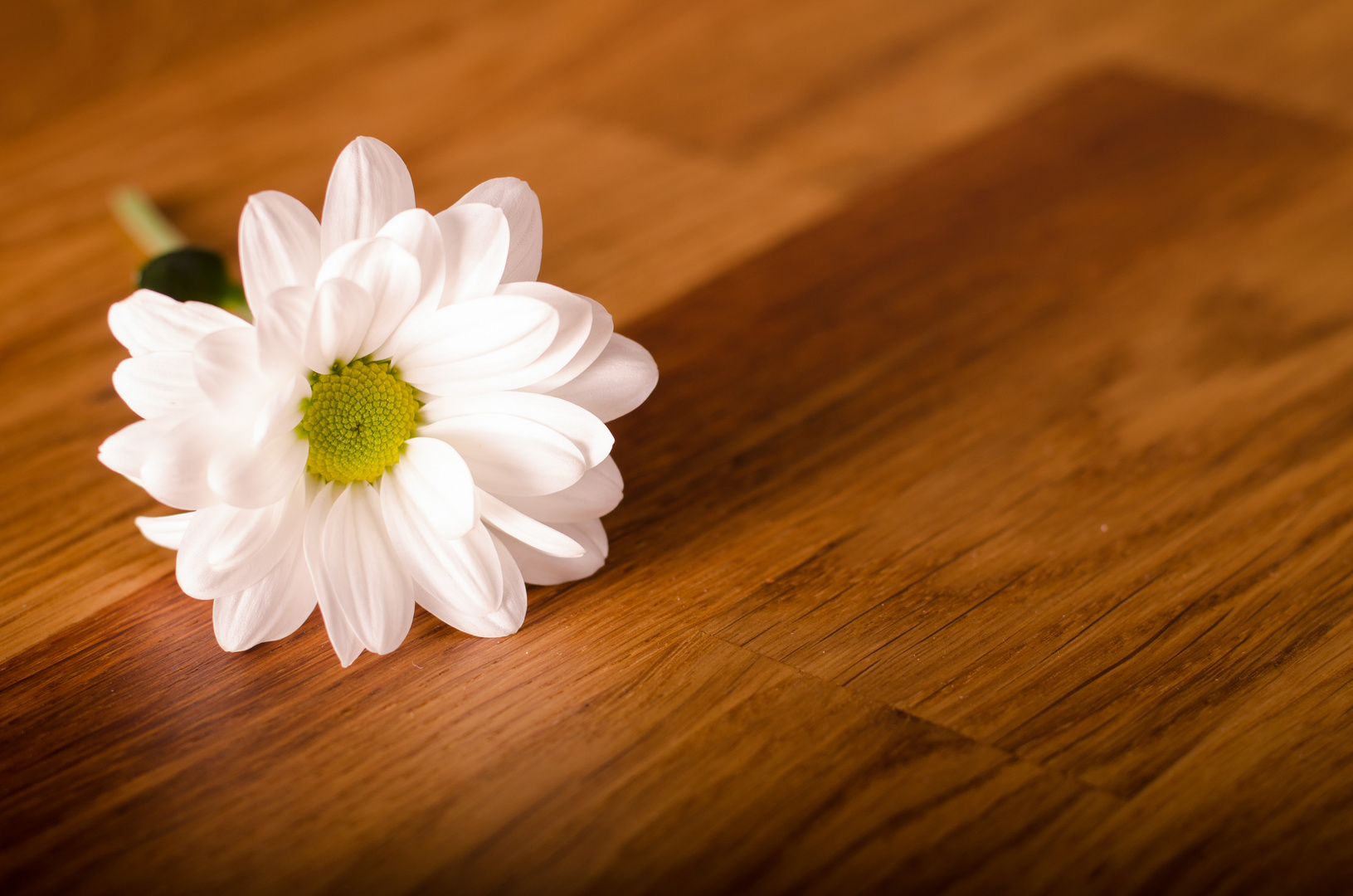 Flower on table