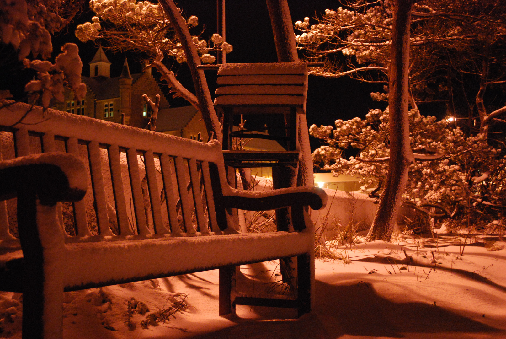 Flower Park in Winter