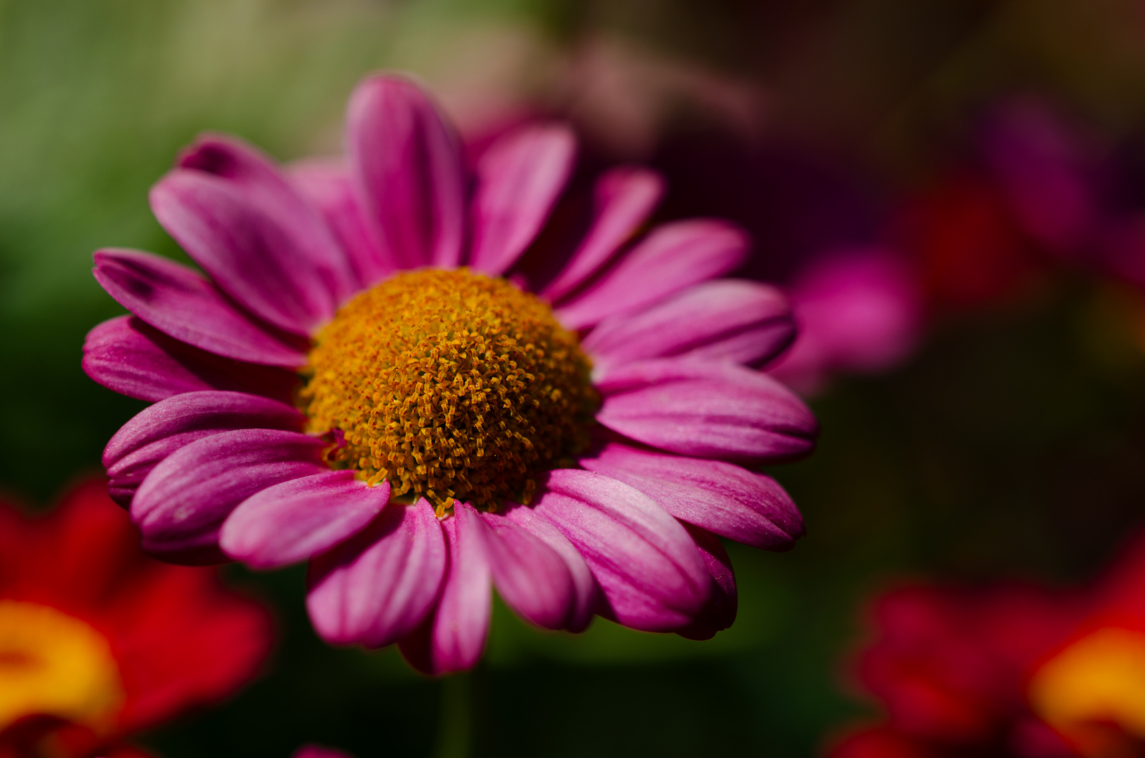 Flower pistils