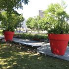 Flower Pots.Quebec City.Canada.