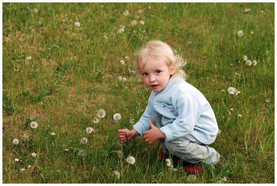 Flower power