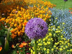 Flower Power auf der Mainau