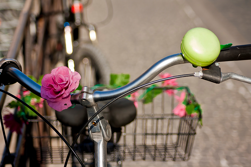 Flower Power Bike