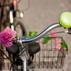 Flower Power Bike