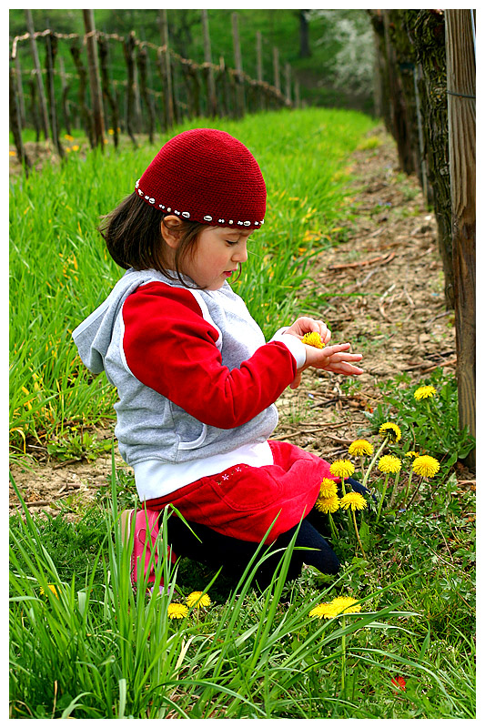 flower power- gefühlte Natur