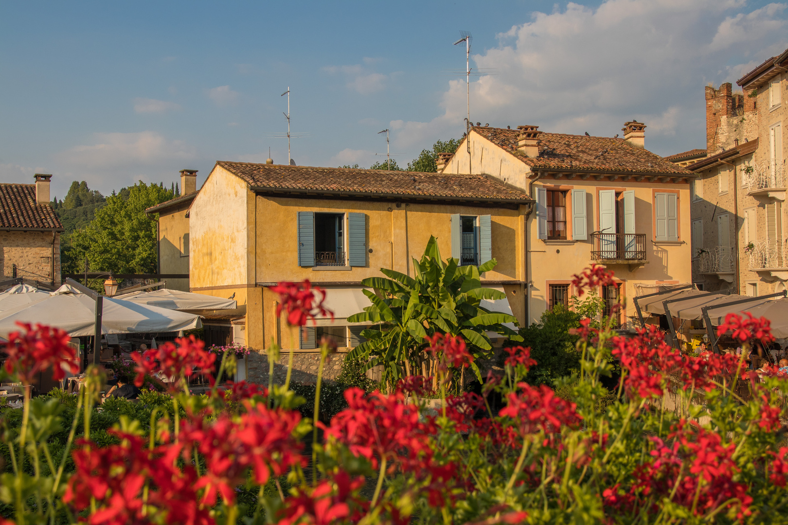 Flower power im Borghetto