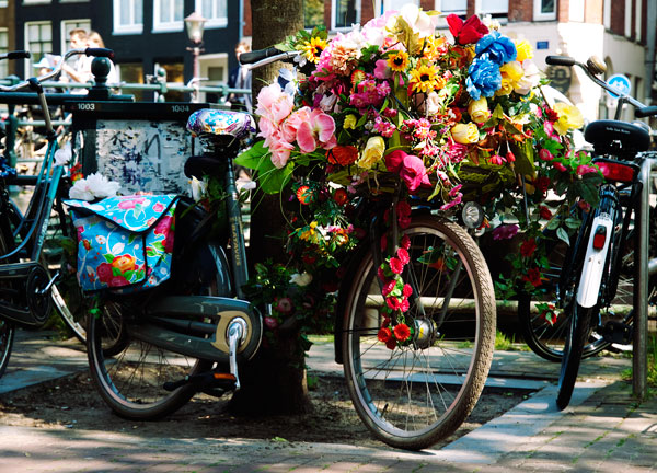 Flower Power in Amsterdam