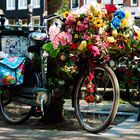 Flower Power in Amsterdam
