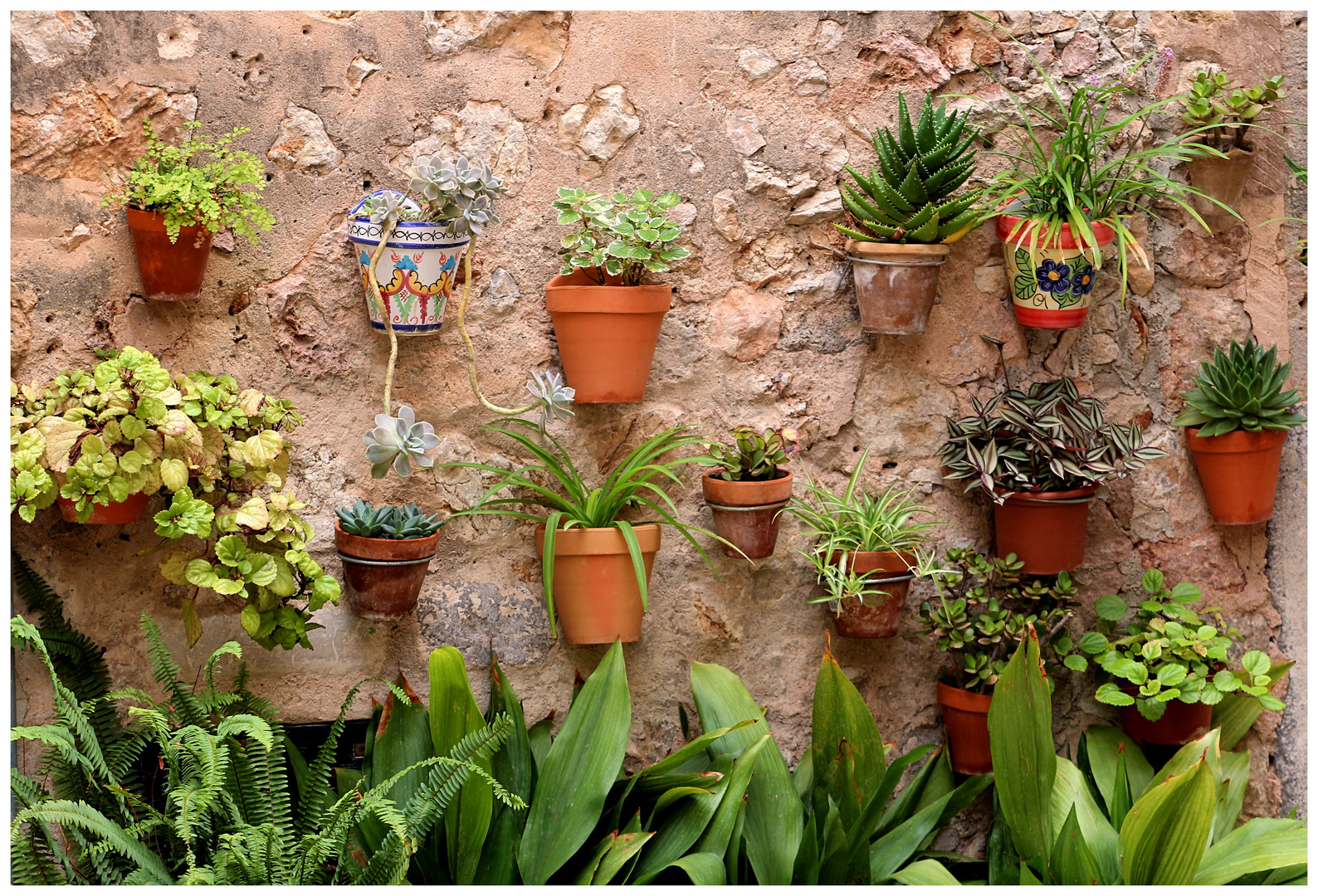 Flower Power in Valldemossa