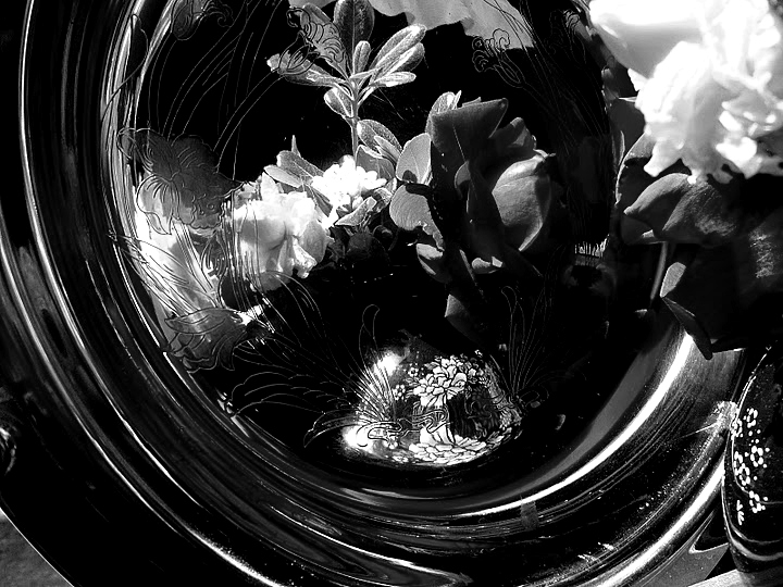 FLOWER REFLECTION