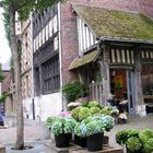 Flower "shop" in Rouen - Summer 2007