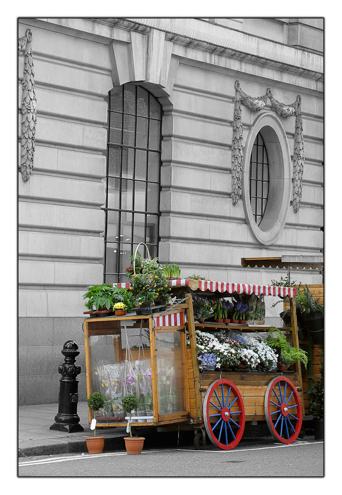 Flower shop, Sloan Square