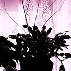 Flower Vase Silhouette