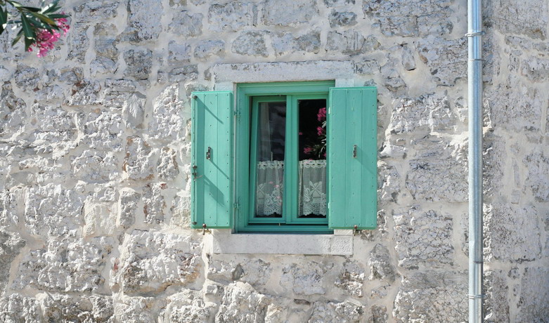 Flower, window, gutter