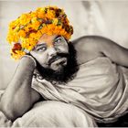 flowerbaba