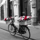 Flowerbike