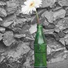 Flowerbottle