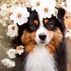 * Flowerdog *