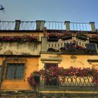 flowered balcony