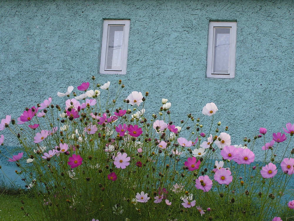 flowered smile