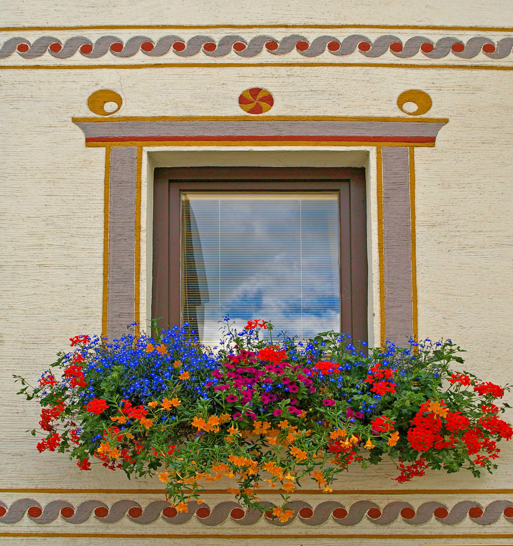 Flowerful Window.