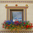 Flowerful Window.