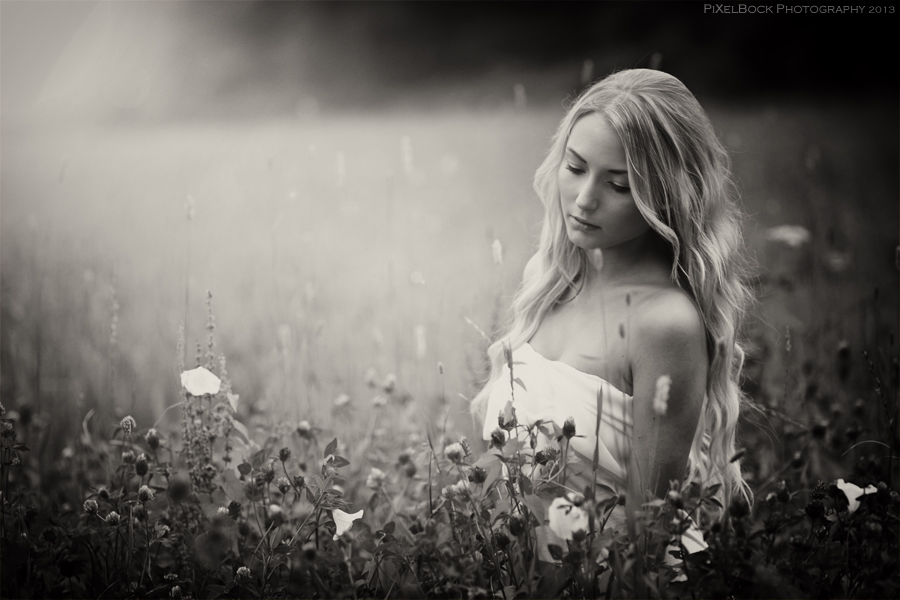 flowering meadow